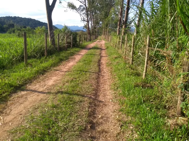 Fazenda em Rio Bonito/Rio de Janeiro — Ref 8BT63F — Imagem 8