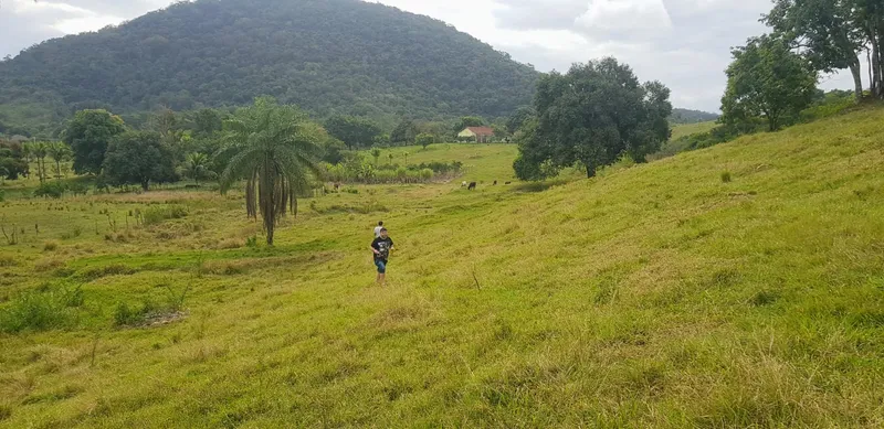 Fazenda em Rio Bonito/Rio de Janeiro — Ref 8BT63F — Imagem 12