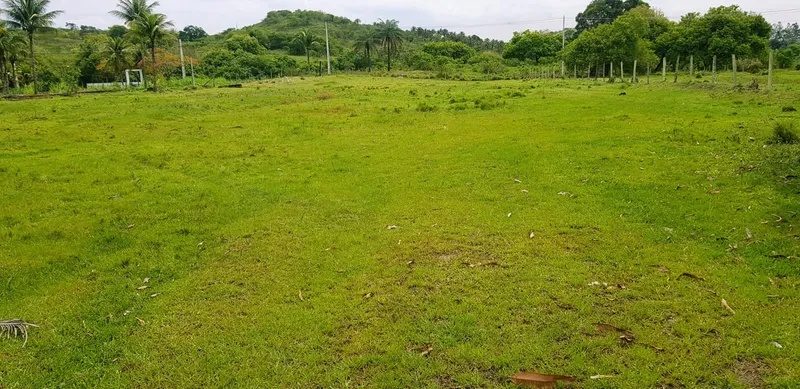 Fazenda em Rio Bonito/Rio de Janeiro — Ref 8BT63F — Imagem 13