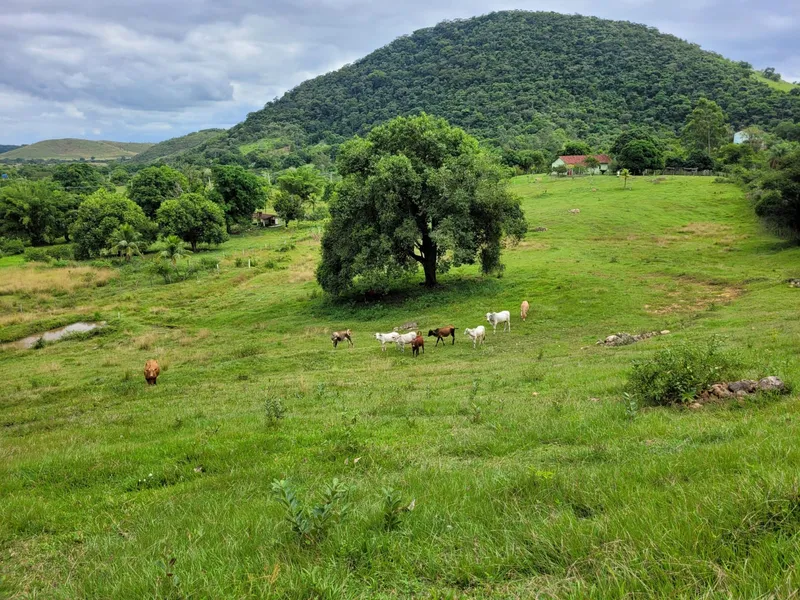 Fazenda em Rio Bonito/Rio de Janeiro — Ref 8BT63F — Imagem 2