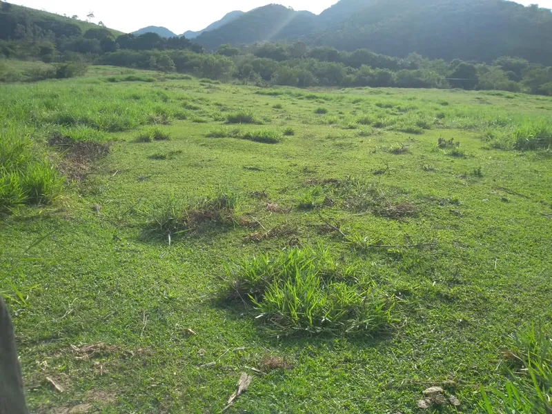 Fazenda em Rio Bonito/Rio de Janeiro — Ref 8BT63F — Imagem 16