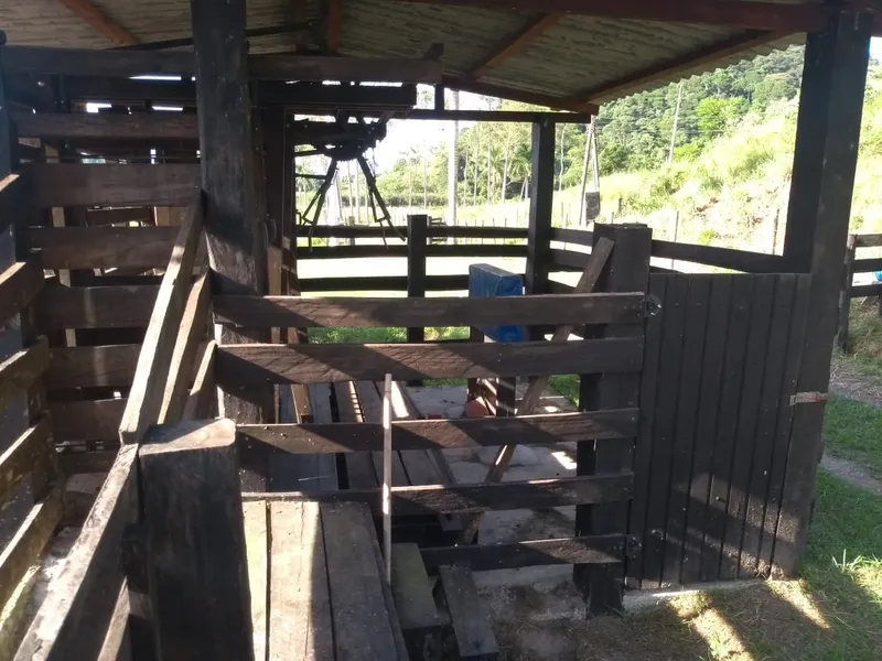 Fazenda em Rio Bonito/Rio de Janeiro — Ref 8BT63F — Imagem 38