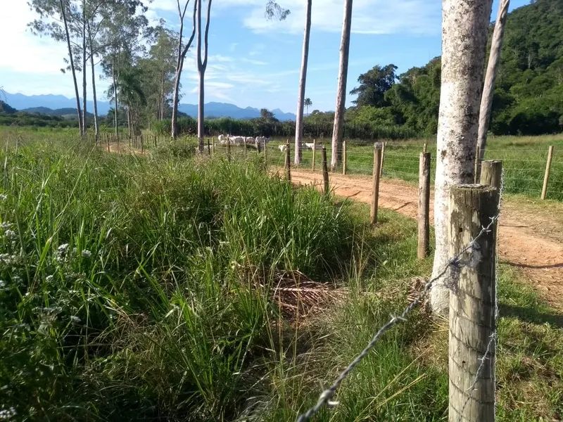 Fazenda em Rio Bonito/Rio de Janeiro — Ref 8BT63F — Imagem 41