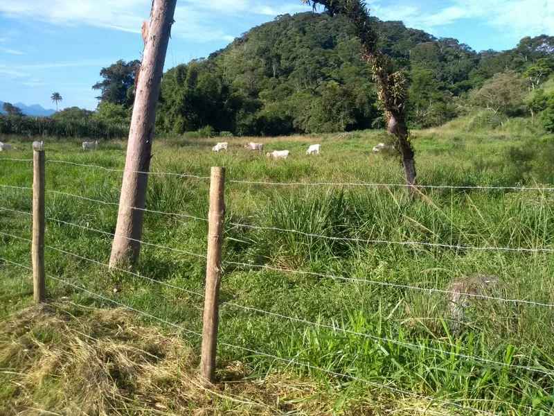 Fazenda em Rio Bonito/Rio de Janeiro — Ref 8BT63F — Imagem 42
