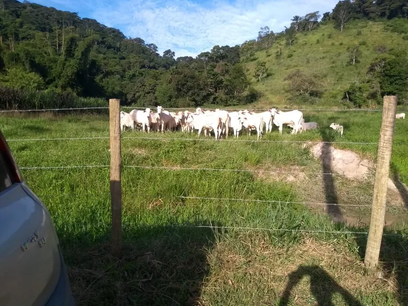 Fazenda em Rio Bonito/Rio de Janeiro — Ref 8BT63F — Imagem 3
