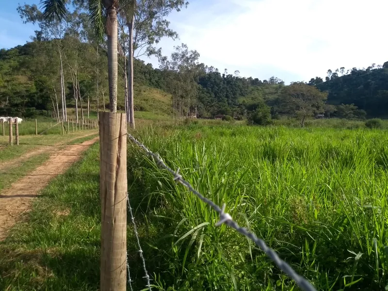 Fazenda em Rio Bonito/Rio de Janeiro — Ref 8BT63F — Imagem 46