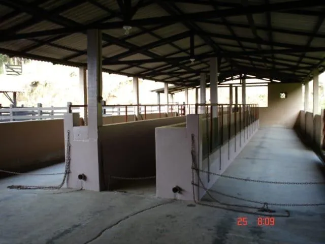 Fazenda em Casimiro de Abreu/Rio de Janeiro — Ref 1YDLIQ — Imagem 8