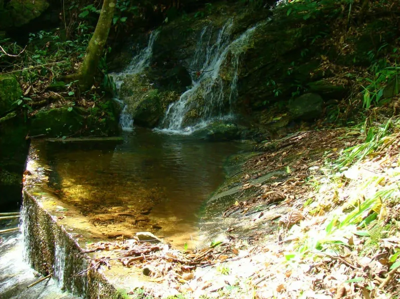 Fazenda em Casimiro de Abreu/Rio de Janeiro — Ref 1YDLIQ — Imagem 13
