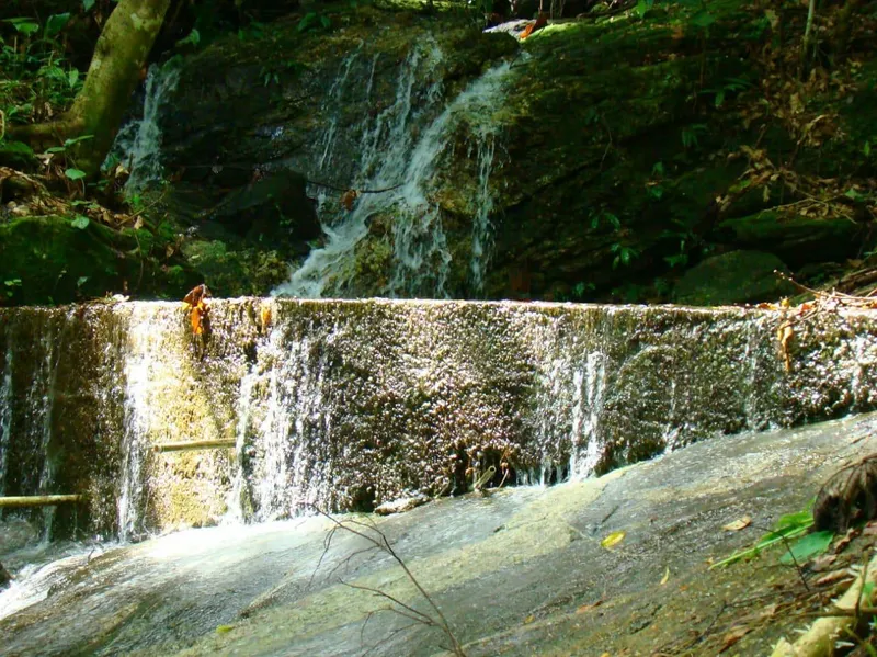 Fazenda em Casimiro de Abreu/Rio de Janeiro — Ref 1YDLIQ — Imagem 14
