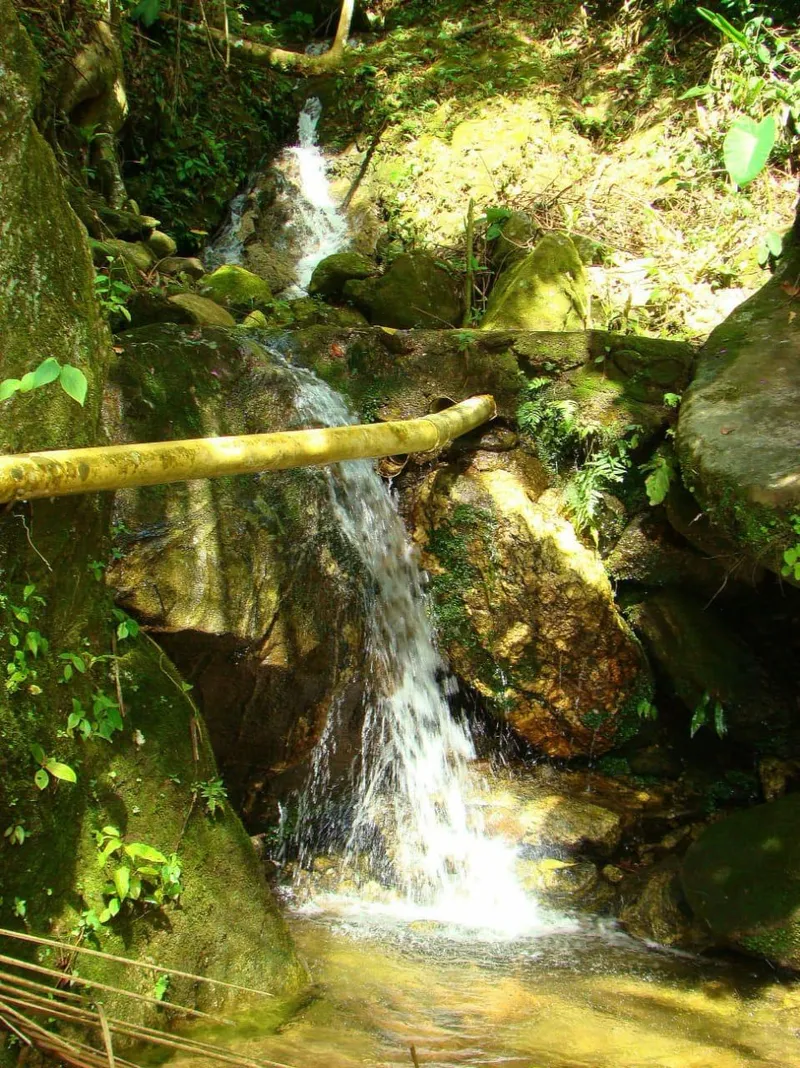 Fazenda em Casimiro de Abreu/Rio de Janeiro — Ref 1YDLIQ — Imagem 15