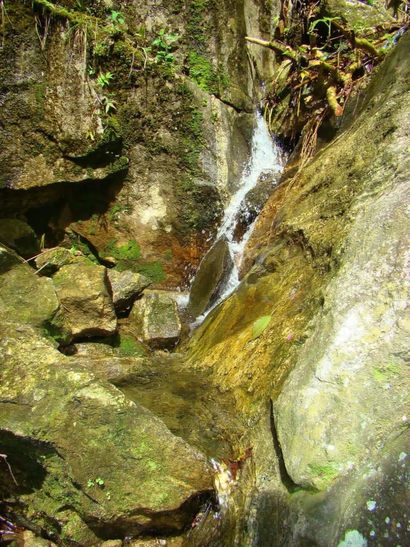 Fazenda em Casimiro de Abreu/Rio de Janeiro — Ref 1YDLIQ — Imagem 16
