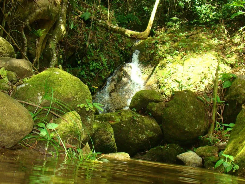 Fazenda em Casimiro de Abreu/Rio de Janeiro — Ref 1YDLIQ — Imagem 24