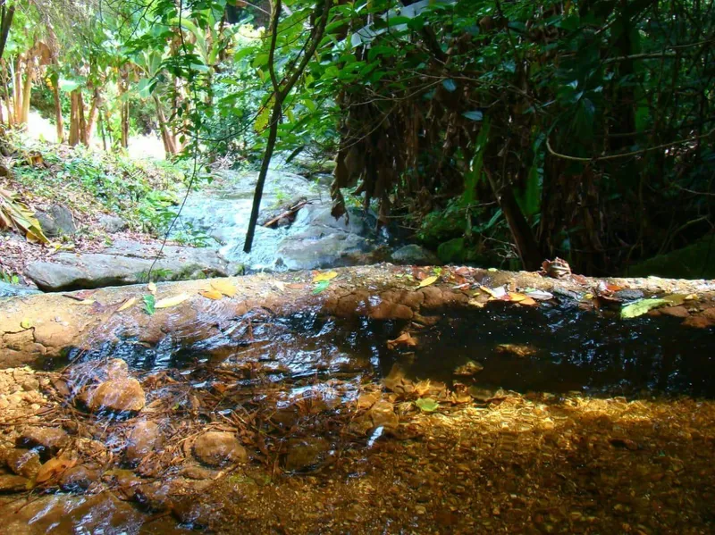 Fazenda em Casimiro de Abreu/Rio de Janeiro — Ref 1YDLIQ — Imagem 29