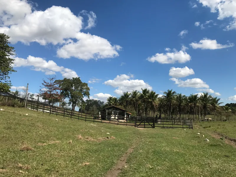 Fazenda em Cachoeiras de Macacu/Rio de Janeiro — Ref S2AY3H — Imagem 6