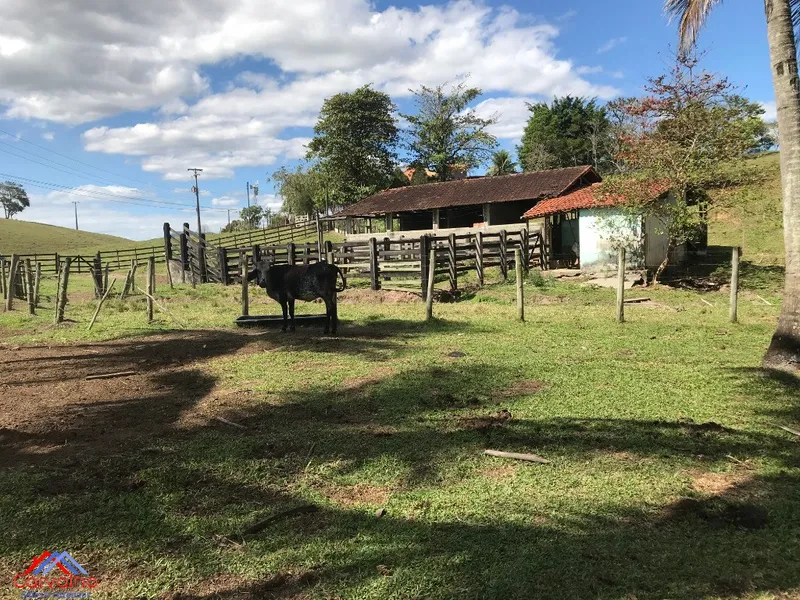 Fazenda em Cachoeiras de Macacu/Rio de Janeiro — Ref S2AY3H — Imagem 4