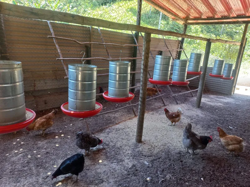 Fazenda em Silva Jardim/Rio de Janeiro — Ref 8R7DZI — Imagem 28