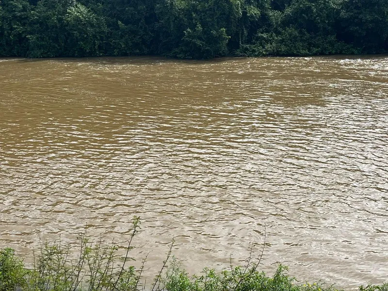 Fazenda em Flores de Goiás/Goiás — Ref 5GKKEQ — Imagem 8