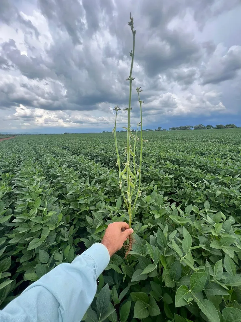 Fazenda em Cristalândia/Tocantins — Ref V9RNC2 — Imagem 2