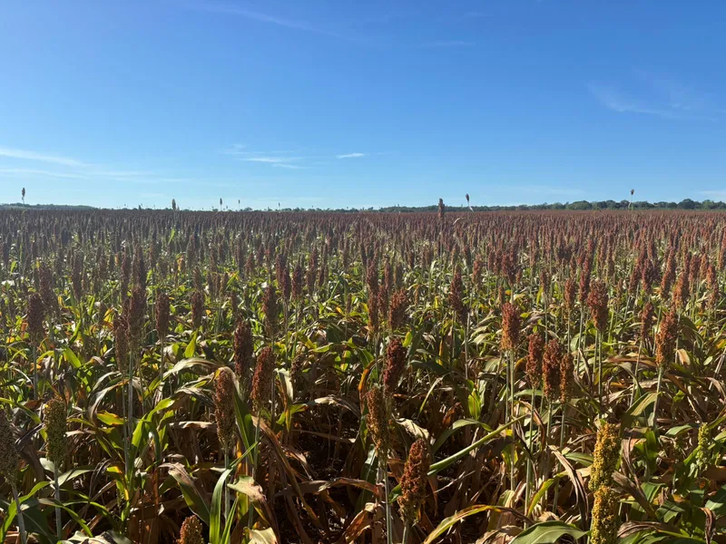 Fazenda em Cristalândia/Tocantins — Ref V9RNC2 — Imagem 3