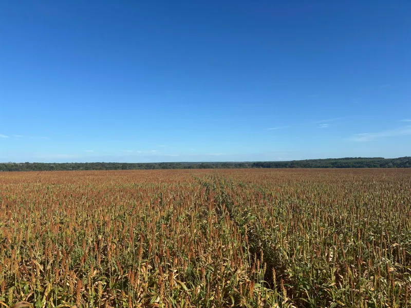 Fazenda em Cristalândia/Tocantins — Ref V9RNC2 — Imagem 4