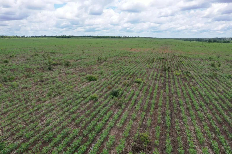 Fazenda em Cristalândia/Tocantins — Ref V9RNC2 — Imagem 15