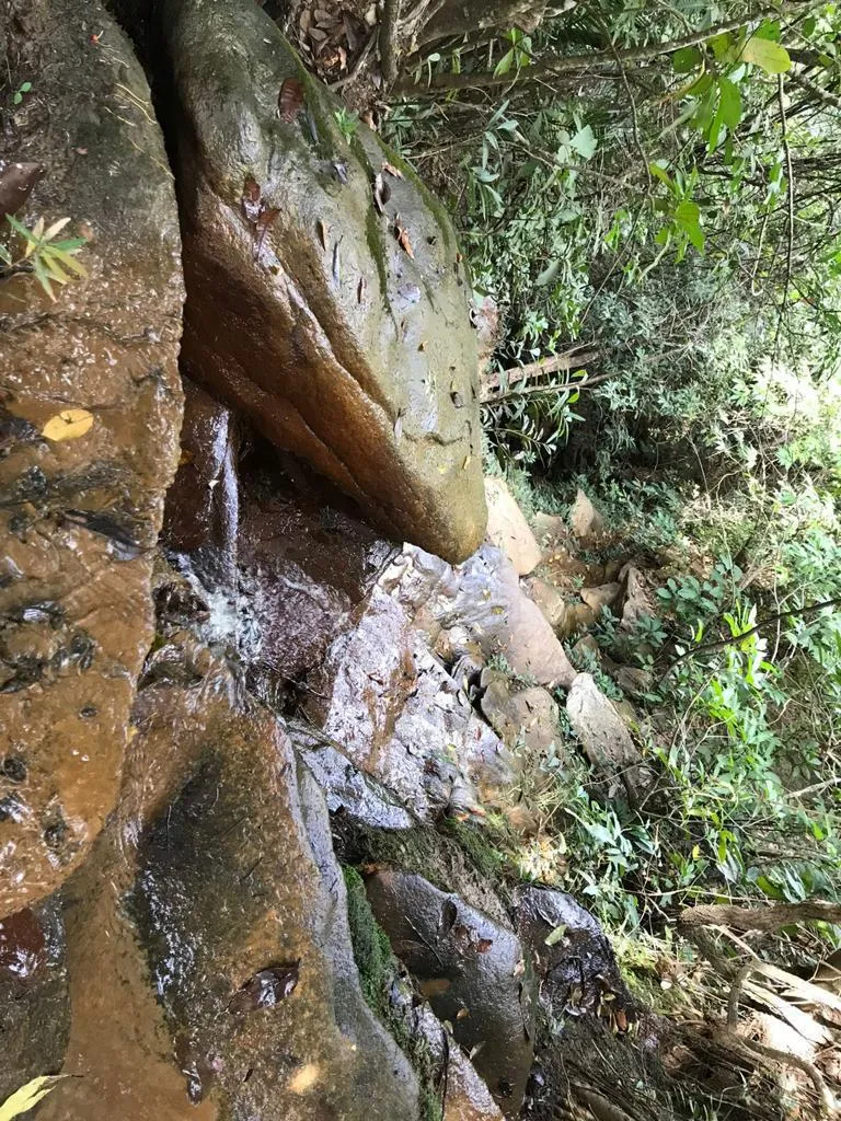 Fazenda em Cocalzinho de Goiás/Goiás — Ref MSPQUT — Imagem 4