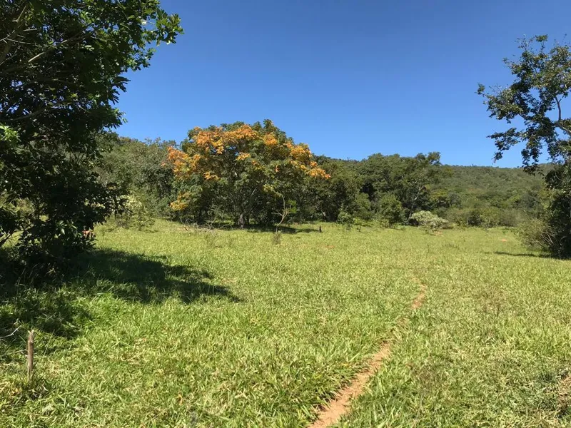 Fazenda em Cocalzinho de Goiás/Goiás — Ref MSPQUT — Imagem 2