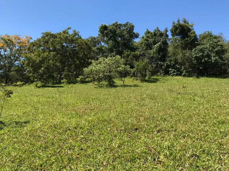 Fazenda em Cocalzinho de Goiás/Goiás — Ref MSPQUT — Imagem 1