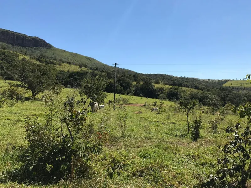 Fazenda em Cocalzinho de Goiás/Goiás — Ref MSPQUT — Imagem 3