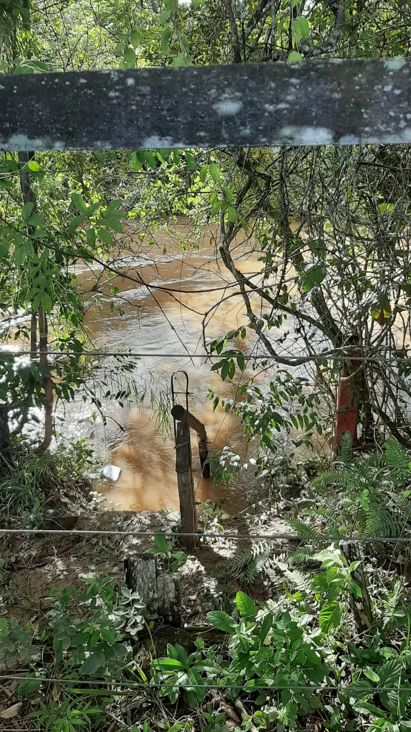Sítio em Abadiânia/Goiás — Ref 72ZF45 — Imagem 5