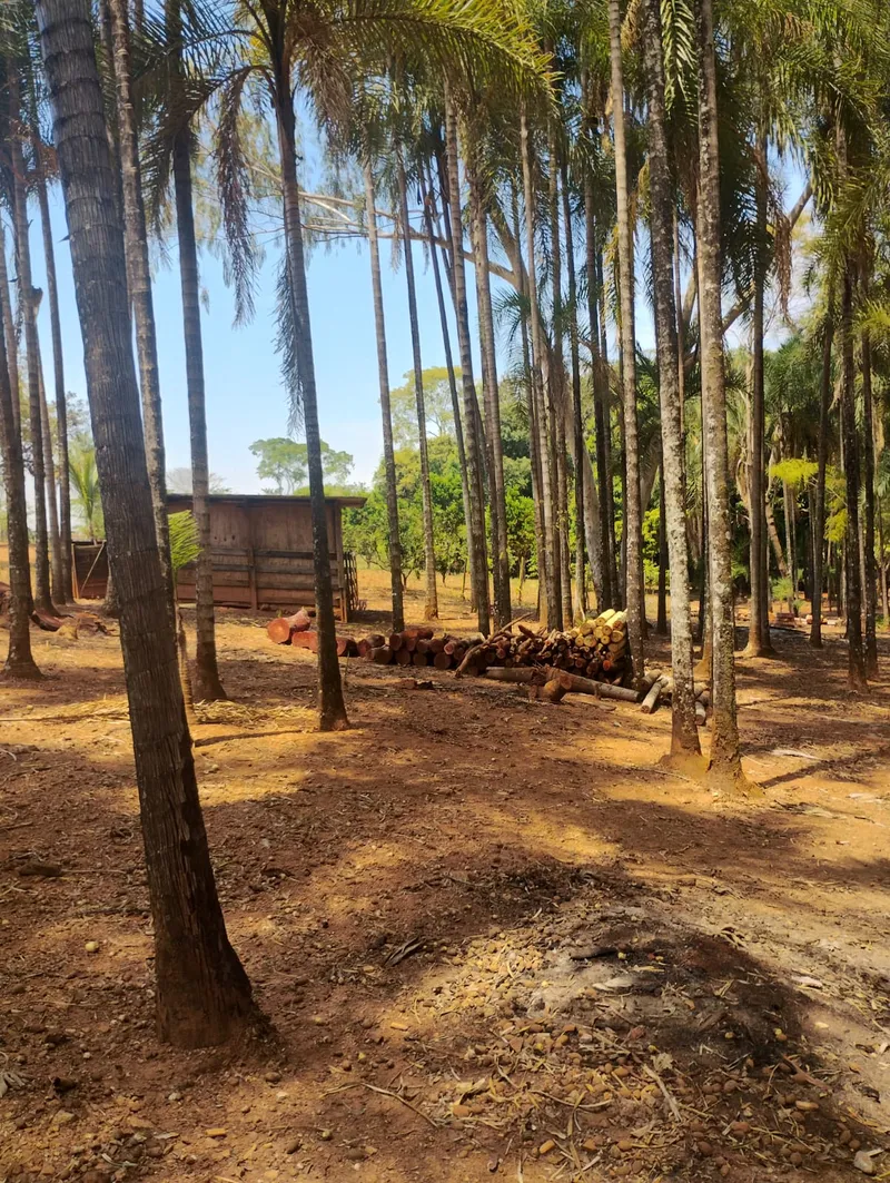 Chácara em Abadiânia/Goiás — Ref SN3QQF — Imagem 3