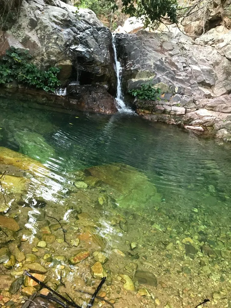 Fazenda em Niquelândia/Goiás — Ref 2I6BJT — Imagem 8