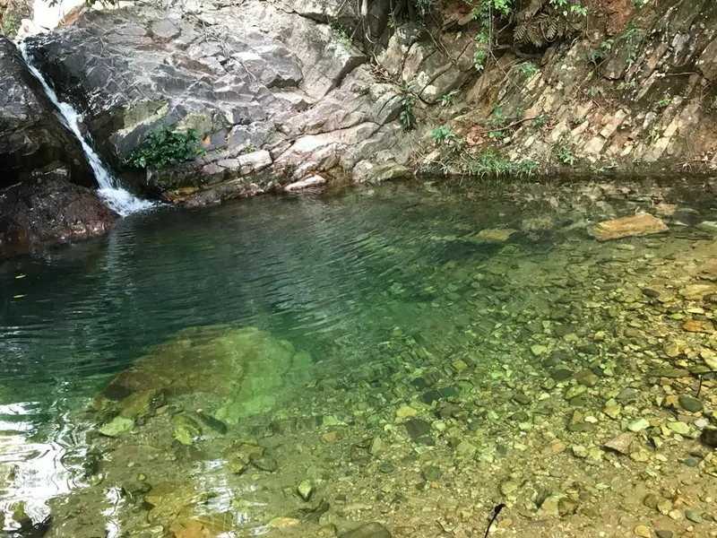 Fazenda em Niquelândia/Goiás — Ref 2I6BJT — Imagem 9