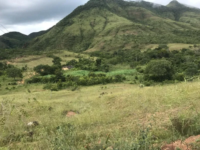 Fazenda em Niquelândia/Goiás — Ref 2I6BJT — Imagem 7