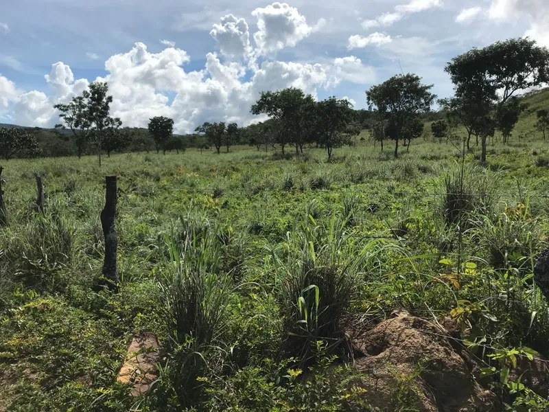 Fazenda em Niquelândia/Goiás — Ref 2I6BJT — Imagem 10