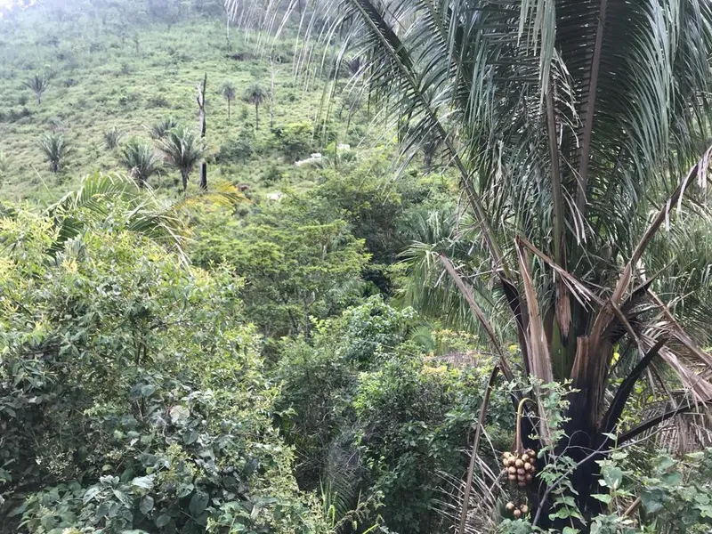 Fazenda em Niquelândia/Goiás — Ref 2I6BJT — Imagem 13