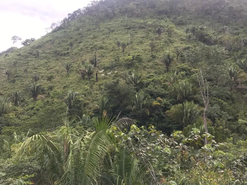 Fazenda em Niquelândia/Goiás — Ref 2I6BJT — Imagem 14