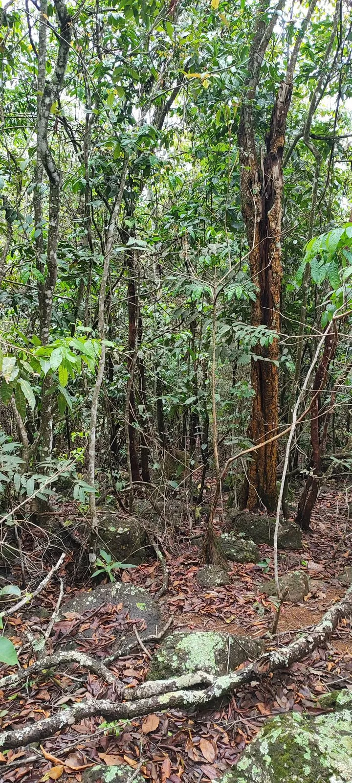 Chácara em Anápolis/Goiás — Ref SCGFWV — Imagem 6