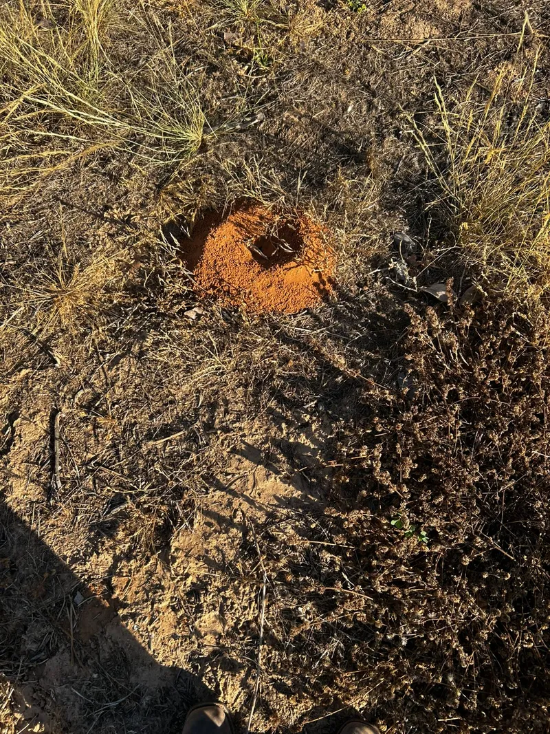 Fazenda em Sítio d'Abadia/Goiás — Ref MHUKFQ — Imagem 9