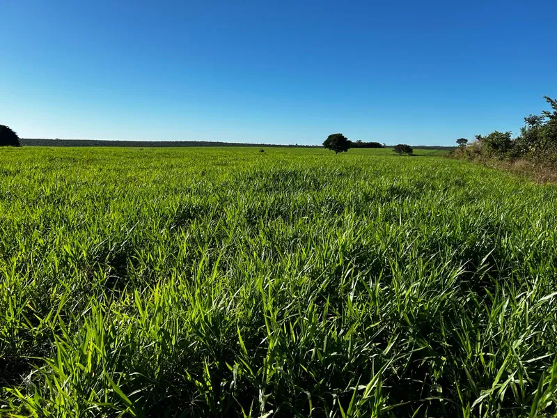 Imóvel rural em Sítio d'Abadia/Goiás — Ref MHUKFQ1