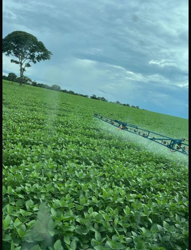 Fazenda em Sítio d'Abadia/Goiás — Ref MHUKFQ — Imagem 5