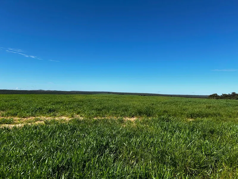 Fazenda em Sítio d'Abadia/Goiás — Ref MHUKFQ — Imagem 2