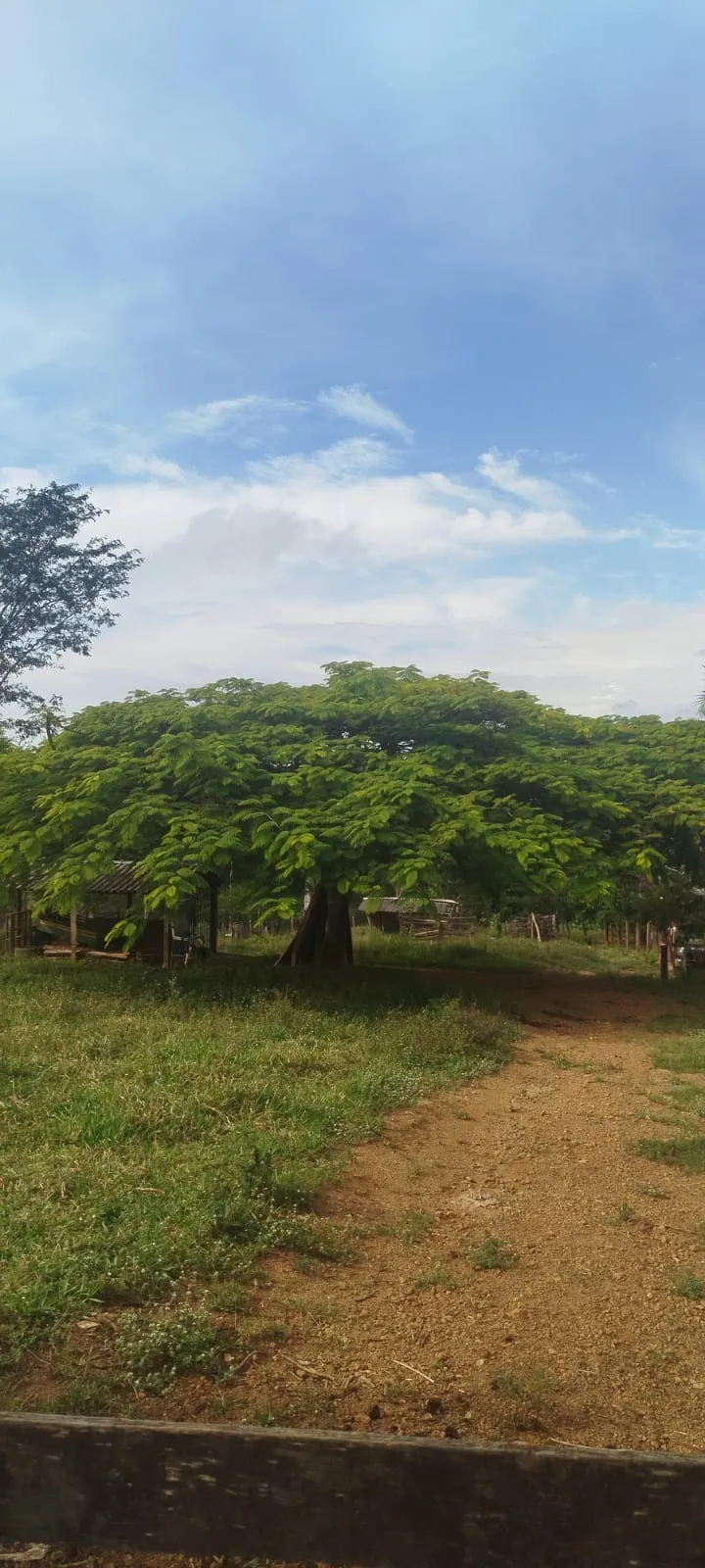 Chácara em Abadiânia/Goiás — Ref L5X8UW — Imagem 6