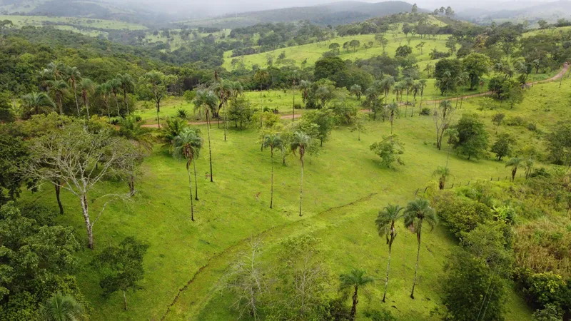 Chácara em Abadiânia/Goiás — Ref L5X8UW — Imagem 4