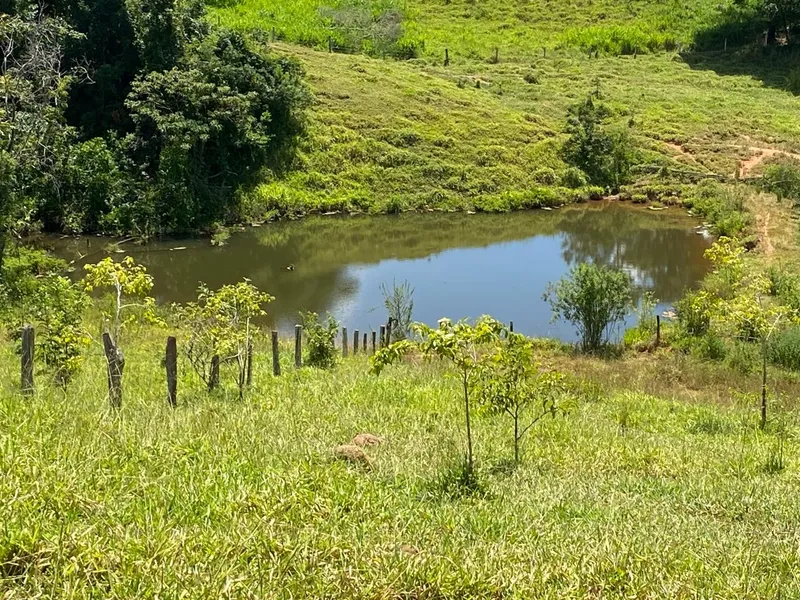 Sítio em Abadiânia/Goiás — Ref ZG5MHF — Imagem 5