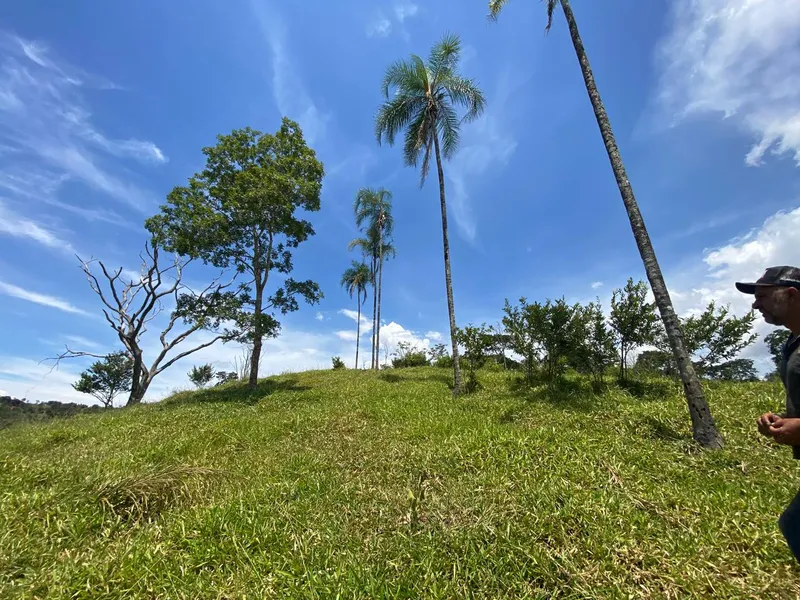 Sítio em Abadiânia/Goiás — Ref ZG5MHF — Imagem 7