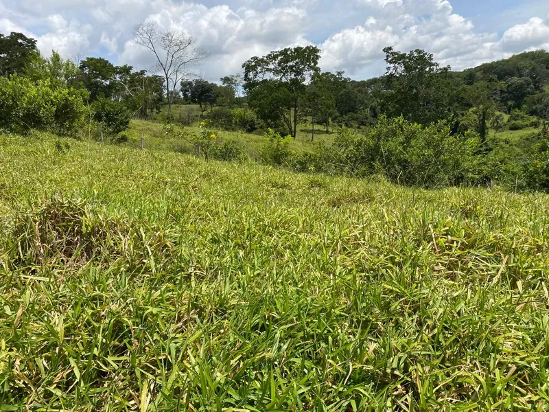 Sítio em Abadiânia/Goiás — Ref ZG5MHF — Imagem 9