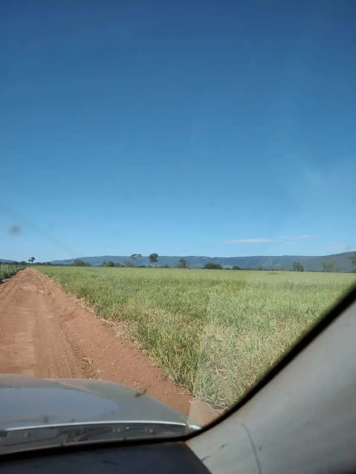 Fazenda em Formosa/Goiás — Ref RHOF9C — Imagem 5