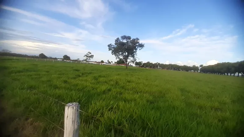Fazenda em Formosa/Goiás — Ref RHOF9C — Imagem 12