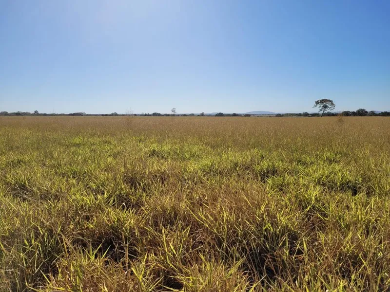 Fazenda em Formosa/Goiás — Ref RHOF9C — Imagem 16